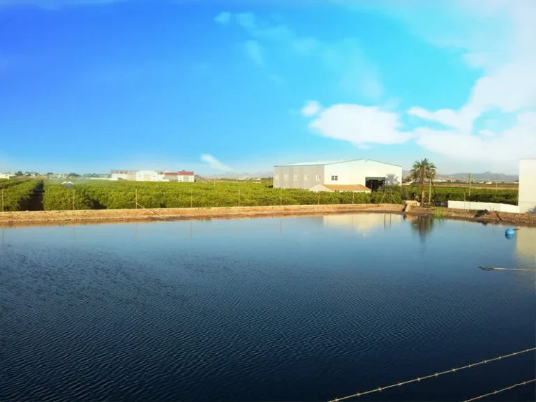 fincas agricola galindo